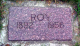Roy Arend Van Wechel Gravestone